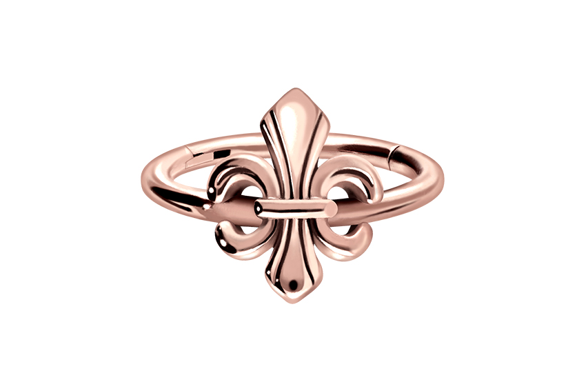 Chirurgenstahl Segmentring Clicker Piercing LILIE